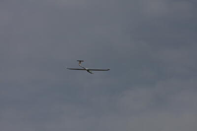 IMG 6518
